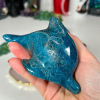 Blue Apatite Dolphin - Flipper Carvings MagiCandleSOS 