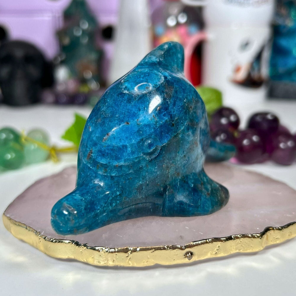 Blue Apatite Dolphin - Flipper Carvings MagiCandleSOS 