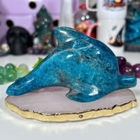 Blue Apatite Dolphin - Flipper Carvings MagiCandleSOS 