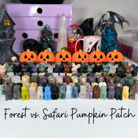 Carving Pumpkin Patch | Forest Vs. Safari Themed Mystery Crystal Carvings Bundles MagiCandleSOS 