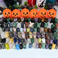 Carving Pumpkin Patch | Forest Vs. Safari Themed Mystery Crystal Carvings Bundles MagiCandleSOS 