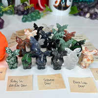 Carving Pumpkin Patch | Forest Vs. Safari Themed Mystery Crystal Carvings Bundles MagiCandleSOS 