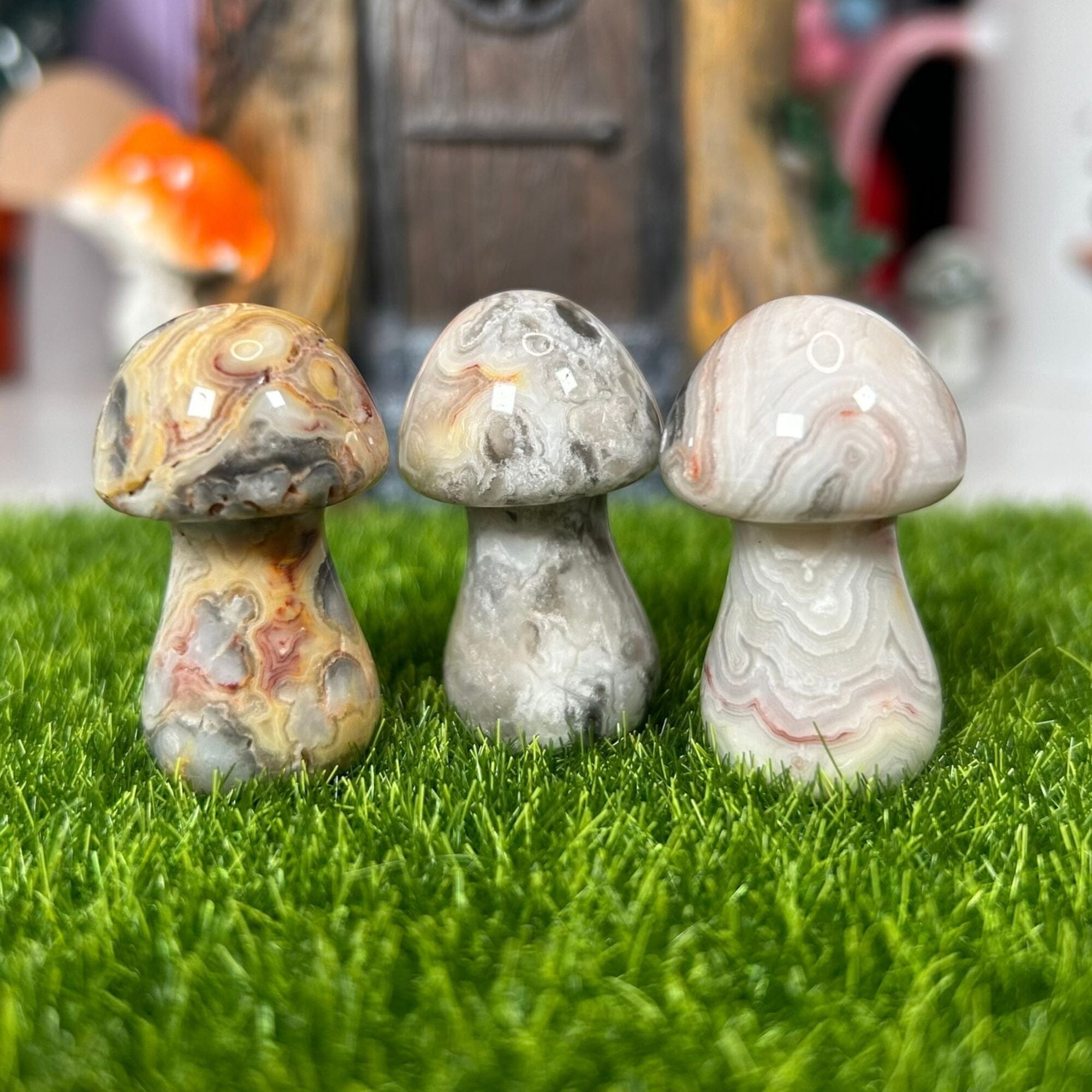 Triple Pack Large Mushrooms - Moss Agate|Crazy Lace Agate|Fluorite Carvings MagiCandleSOS 