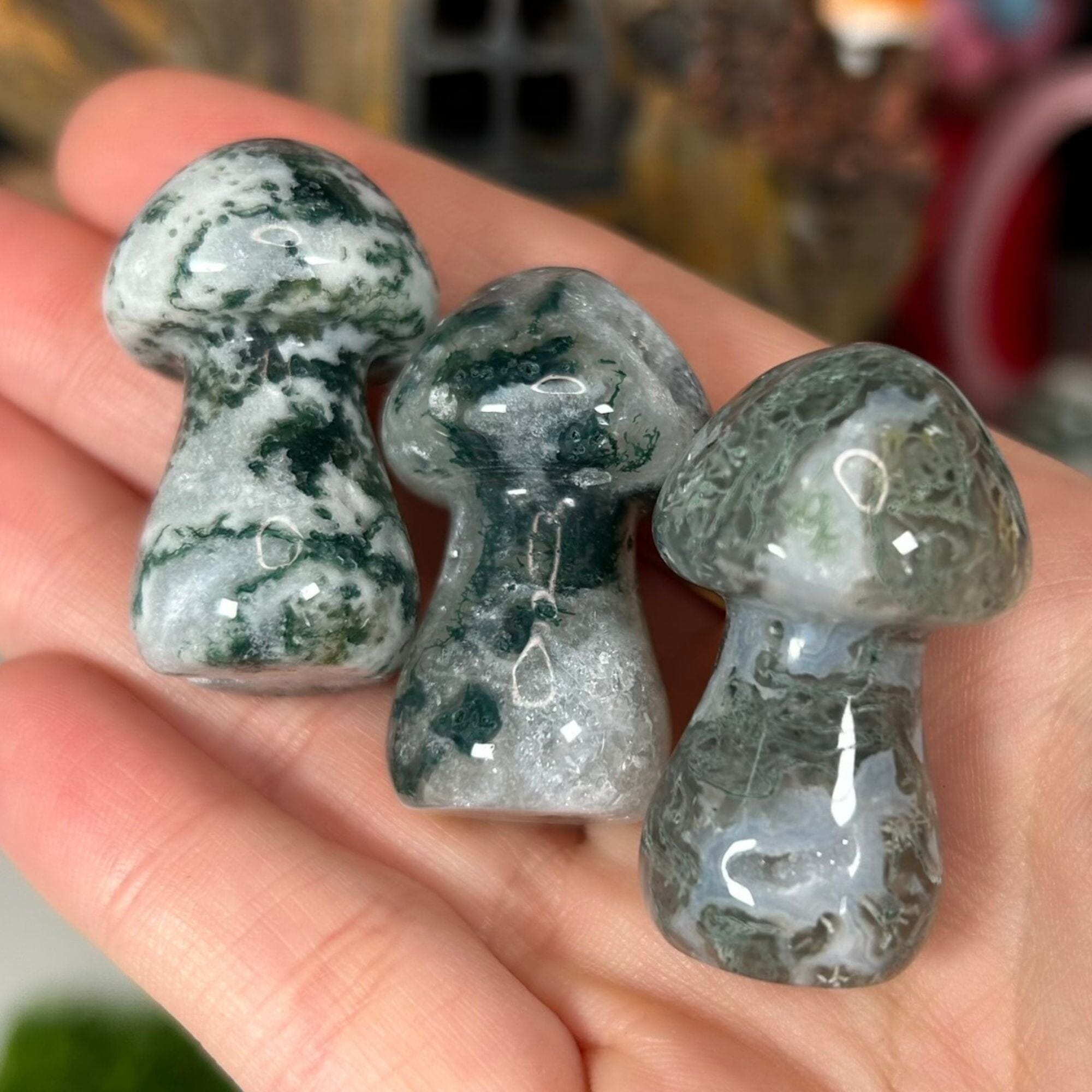 Triple Pack Large Mushrooms - Moss Agate|Crazy Lace Agate|Fluorite Carvings MagiCandleSOS 