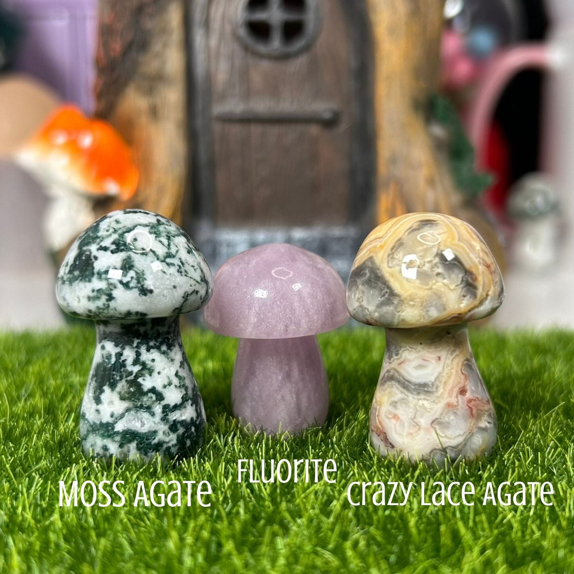 Triple Pack Large Mushrooms - Moss Agate|Crazy Lace Agate|Fluorite Carvings MagiCandleSOS 