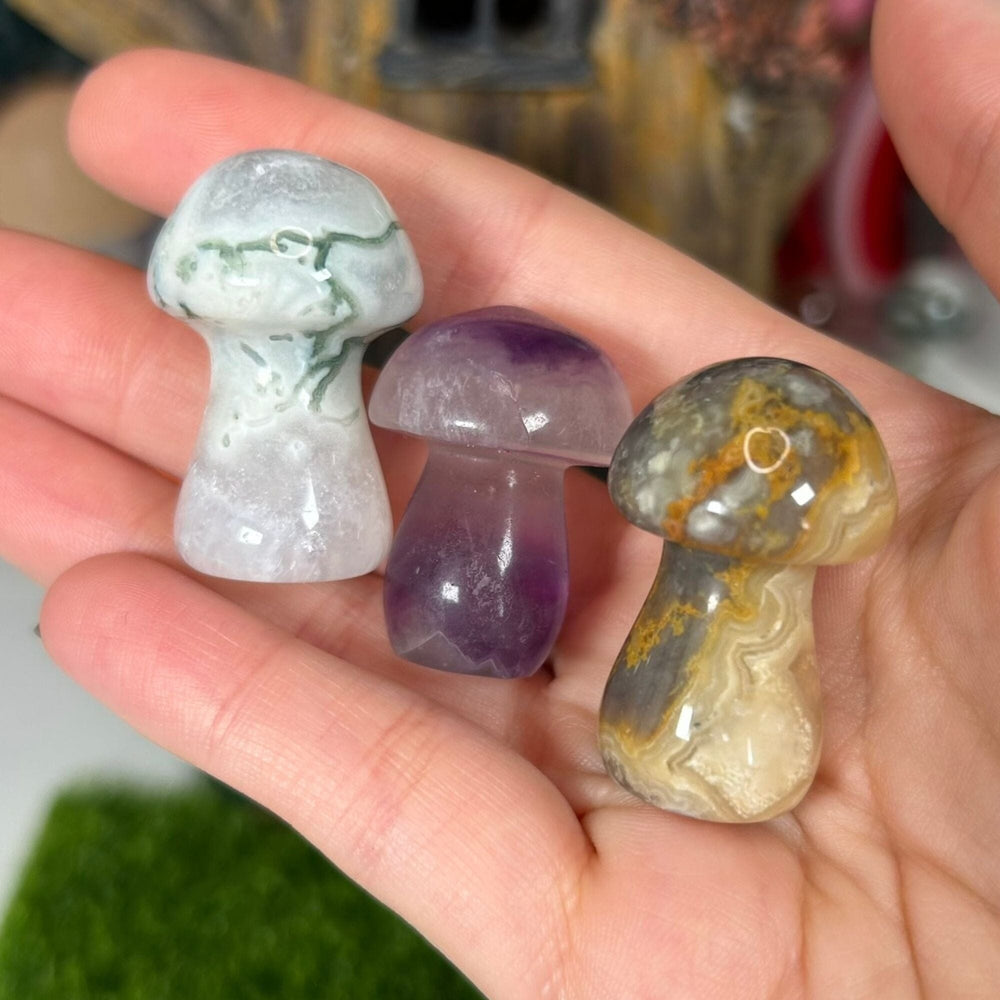 Triple Pack Large Mushrooms - Moss Agate|Crazy Lace Agate|Fluorite Carvings MagiCandleSOS 