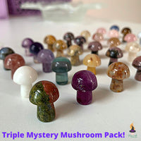 Triple Mystery Mushroom Pack! MagiCandleSOS 